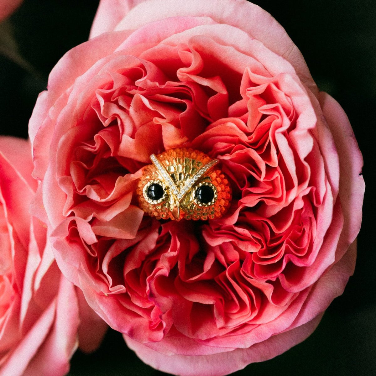 Bague Dôme YVONNE LÉON Hibou en or jaune, onyx et diamants - Castafiore