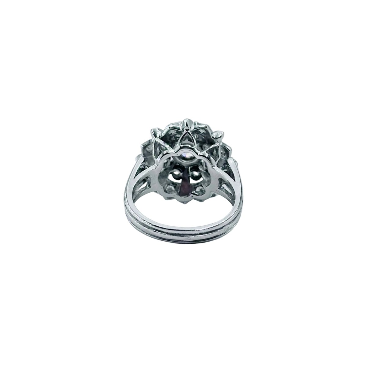 Bague Entourage en or blanc, platine et diamants - Castafiore