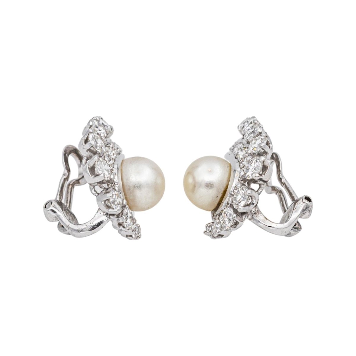 Boucles d'oreilles Or blanc Perle - Castafiore