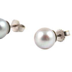 Boucles d'oreilles Puces en or blanc et perles - Castafiore