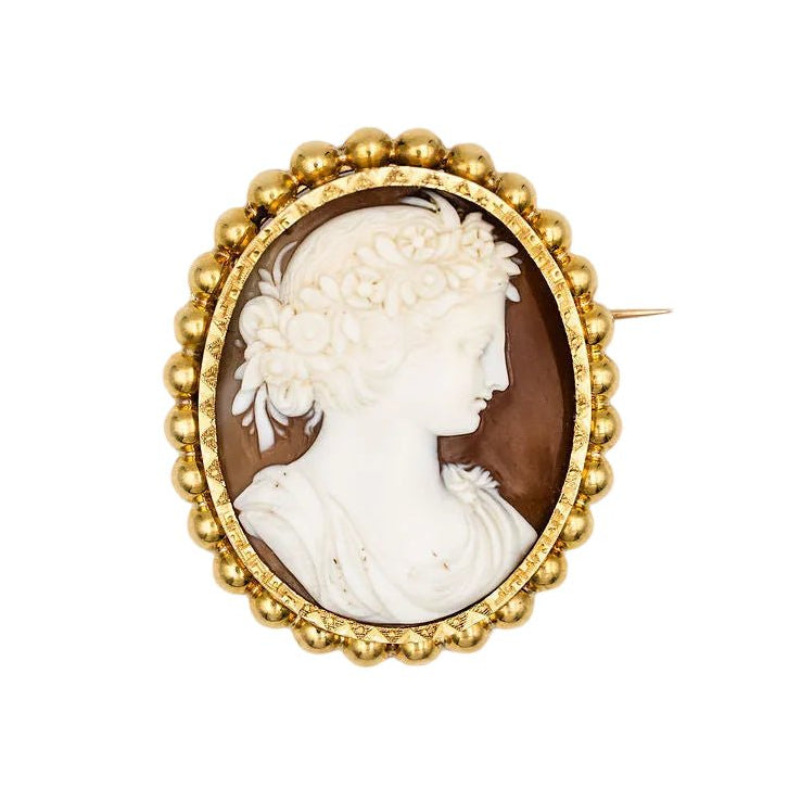 Broche Camée Coquille en or jaune - Castafiore