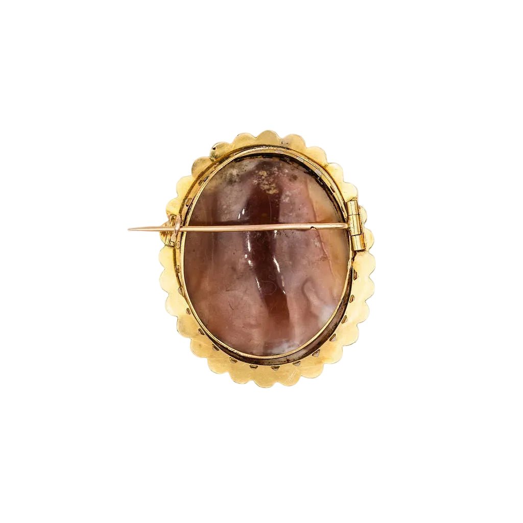 Broche Camée Coquille en or jaune - Castafiore