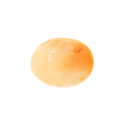 Broche Camée en Coquille Bibouche - Castafiore