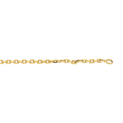 Collier Chaîne en or jaune - Castafiore