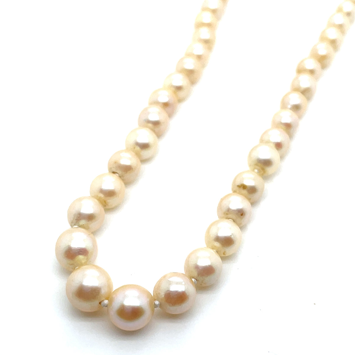 Collier de Perles de Culture Fermoir Or